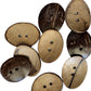 Extra Large Oval Wooden Buttons - Coconut Shell - Wood Button (SHEL-K009-03)
