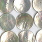 4 extra large shell buttons - 2 inch - 5cm - mother of pearl shell buttons (27907)