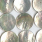 Buy In Bulk Extra Large Shell Buttons - 2 Inch - 5cm -  Mother Of Pearl Shell Bu(b27907-p)